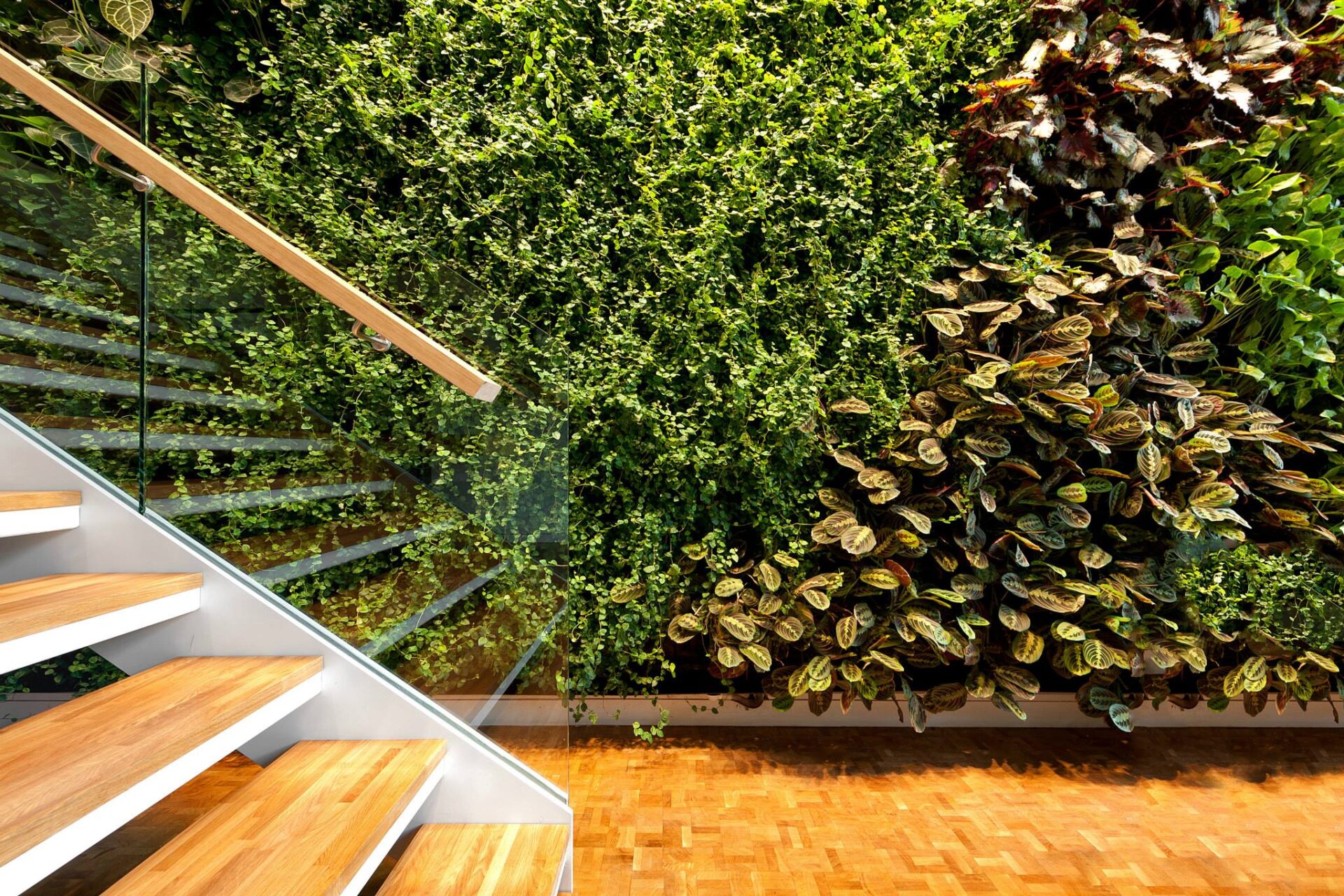 2013 Pixelmator Team biuras - 1