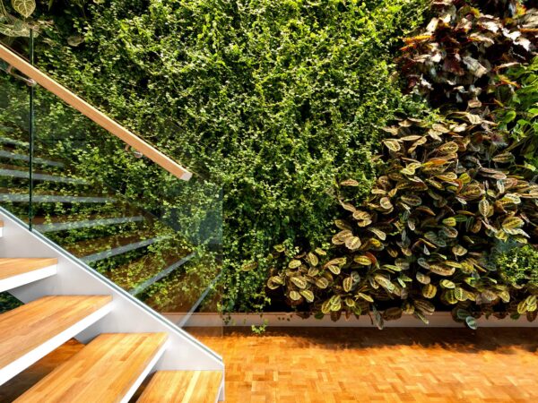 2013 Pixelmator Team office