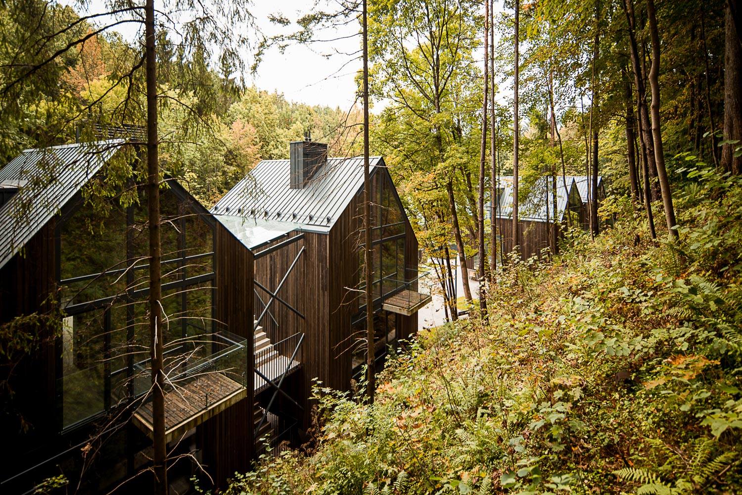 2015 Residential quarter in Pavilniai regional park in Vilnius - 2