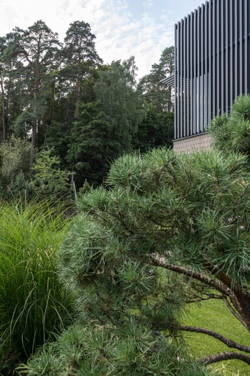 2021 House in Antakalnis - 9